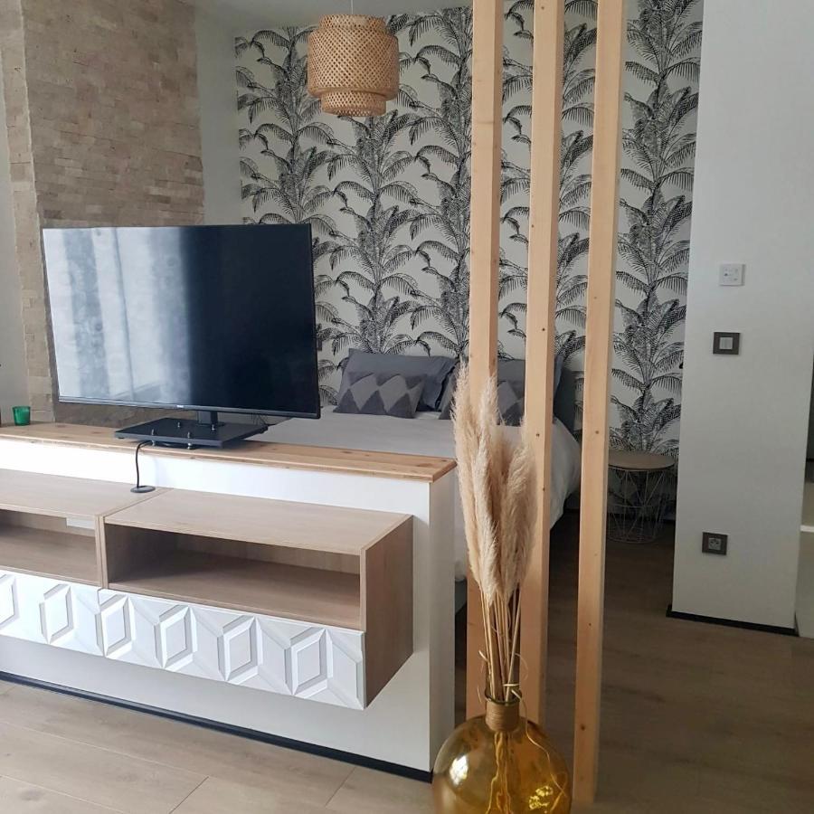 Studio Calme-Equipements Haut De Gamme Sarreguemines Kültér fotó